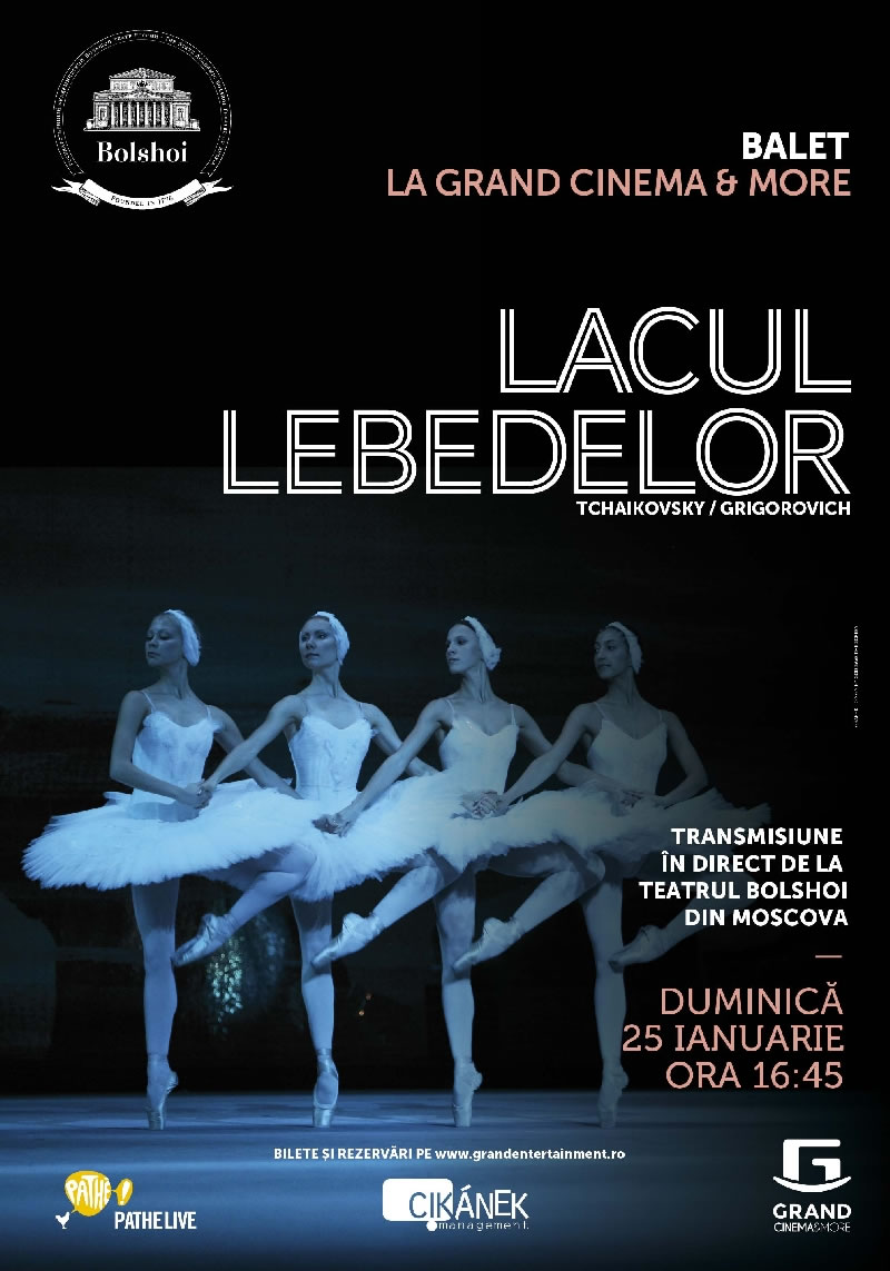 Lacul Lebedelor la Baneasa
