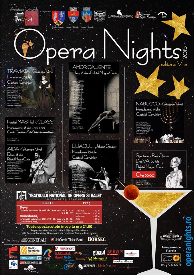 150.000 de lei pentru Festivalul "Opera Nights"