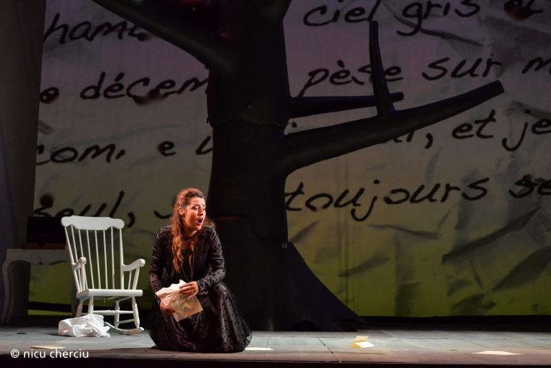 Premiera-eveniment WERTHER deschide în mod oficial Stagiunea 2015 - 2016