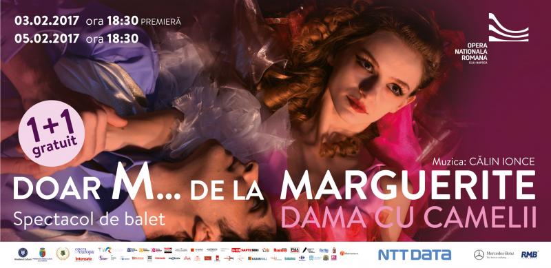 Doar m... de la marguerite