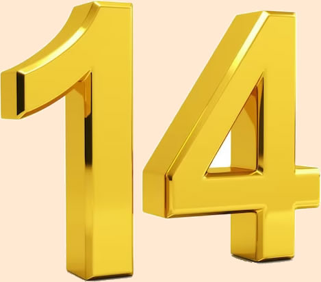 OperaNationala.ro, 14 ani de activitate!