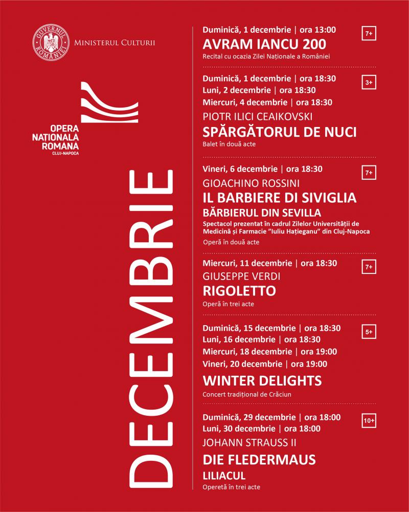 Program decembrie 2024