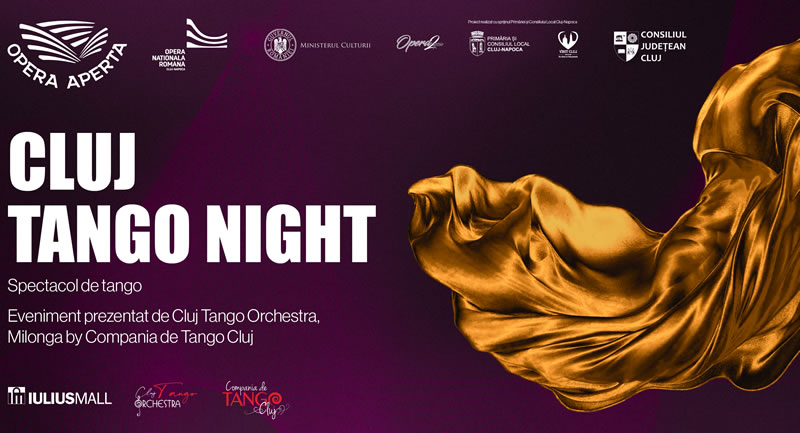 Midnight concerts - Când orașul se cufundă în noapte, muzica prinde glas