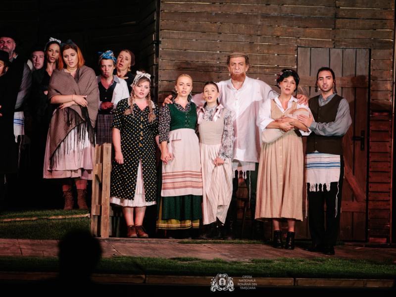 Scripcarul pe acoperiș la Opera Nationala Romana din Timisoara